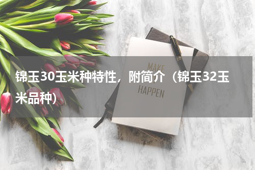 锦玉30玉米种特性，附简介（锦玉32玉米品种）