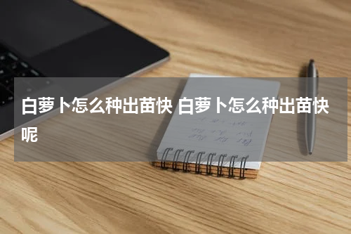 白萝卜怎么种出苗快 白萝卜怎么种出苗快呢