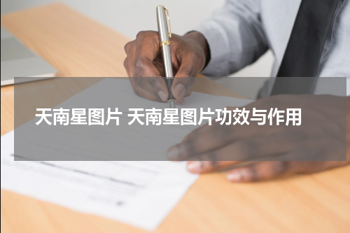 天南星图片 天南星图片功效与作用