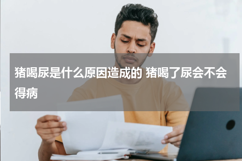猪喝尿是什么原因造成的 猪喝了尿会不会得病