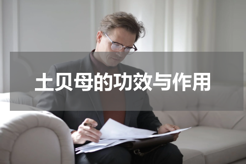 土贝母的功效与作用