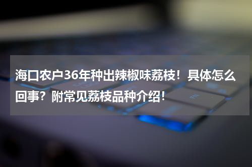 海口农户36年种出辣椒味荔枝！具体怎么回事？附常见荔枝品种介绍！