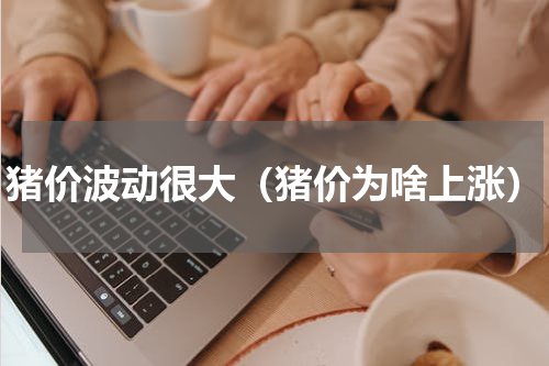 猪价波动很大（猪价为啥上涨）
