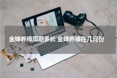 金蝉养殖周期多长 金蝉养殖在几月份