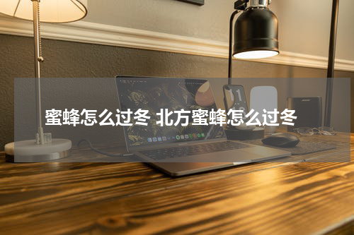 蜜蜂怎么过冬 北方蜜蜂怎么过冬