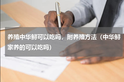 养殖中华鲟可以吃吗，附养殖方法（中华鲟家养的可以吃吗）