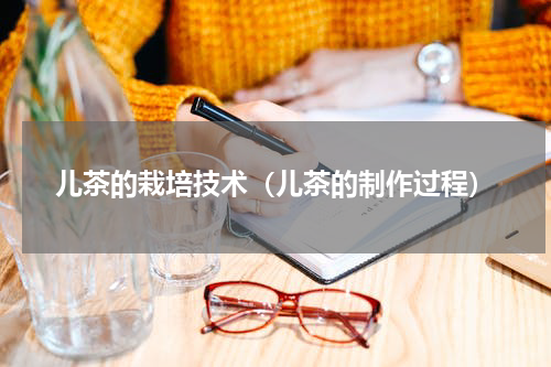 儿茶的栽培技术（儿茶的制作过程）