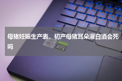 母猪妊娠生产表，初产母猪耳朵灌白酒会死吗