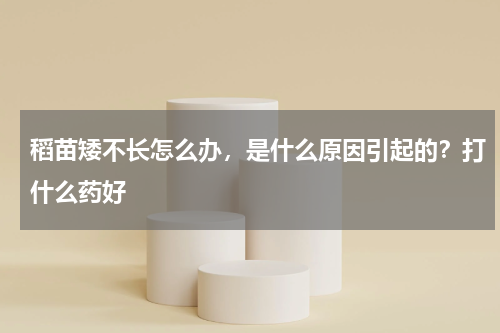 稻苗矮不长怎么办，是什么原因引起的？打什么药好