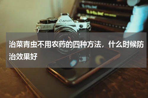 治菜青虫不用农药的四种方法，什么时候防治效果好