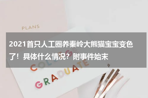 2021首只人工圈养秦岭大熊猫宝宝变色了！具体什么情况？附事件始末