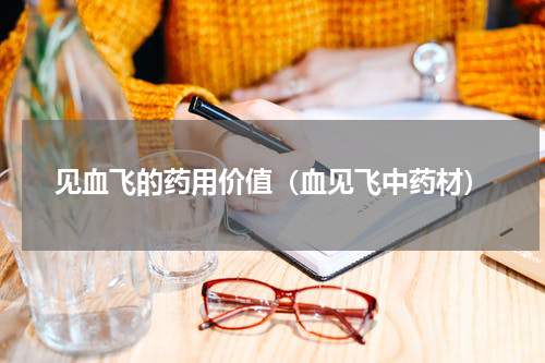 见血飞的药用价值（血见飞中药材）