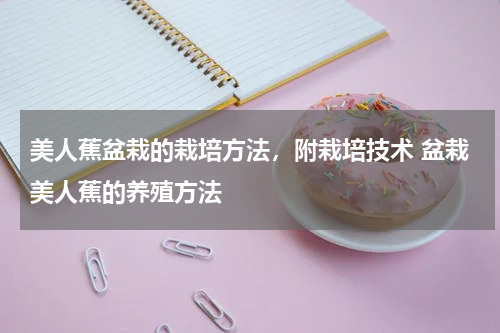 美人蕉盆栽的栽培方法，附栽培技术 盆栽美人蕉的养殖方法