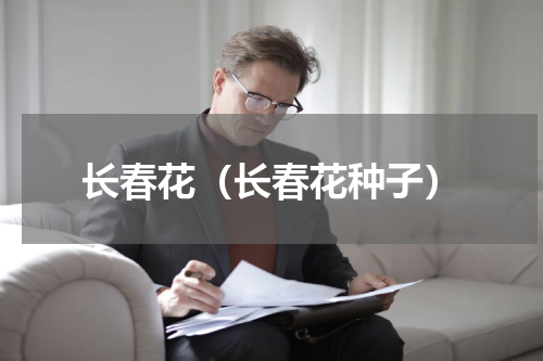长春花（长春花种子）