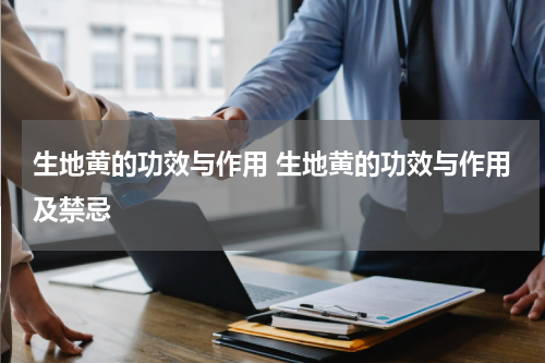 生地黄的功效与作用 生地黄的功效与作用及禁忌