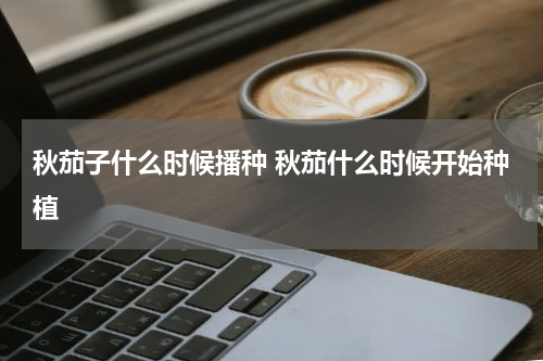 秋茄子什么时候播种 秋茄什么时候开始种植