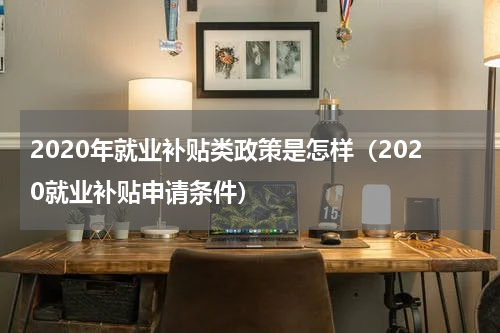 2020年就业补贴类政策是怎样（2020就业补贴申请条件）