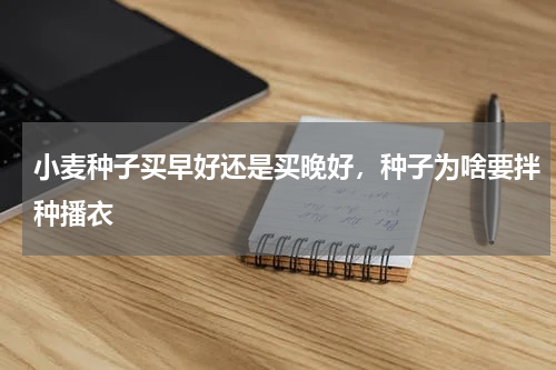 小麦种子买早好还是买晚好，种子为啥要拌种播衣