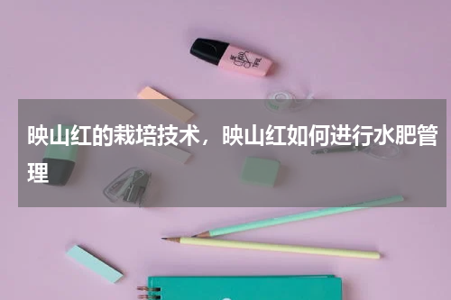 映山红的栽培技术，映山红如何进行水肥管理