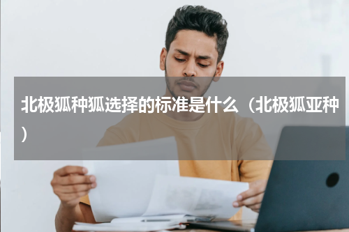 北极狐种狐选择的标准是什么（北极狐亚种）