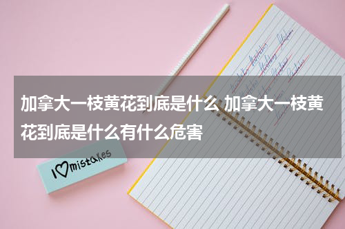 加拿大一枝黄花到底是什么 加拿大一枝黄花到底是什么有什么危害