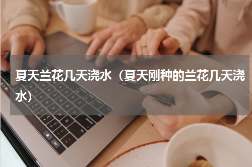 夏天兰花几天浇水（夏天刚种的兰花几天浇水）
