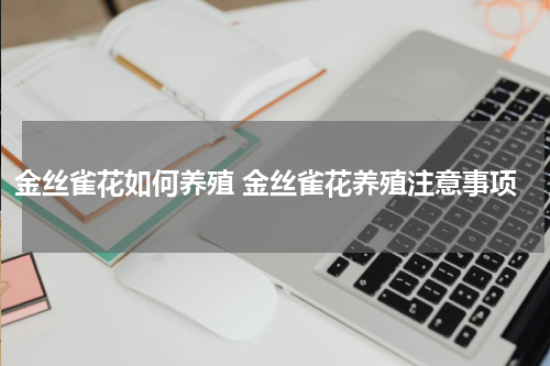 金丝雀花如何养殖 金丝雀花养殖注意事项