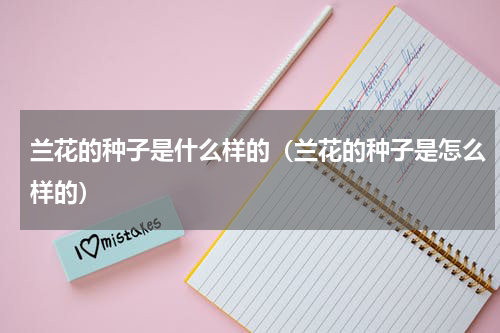 兰花的种子是什么样的（兰花的种子是怎么样的）
