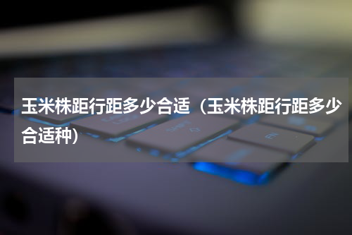 玉米株距行距多少合适（玉米株距行距多少合适种）