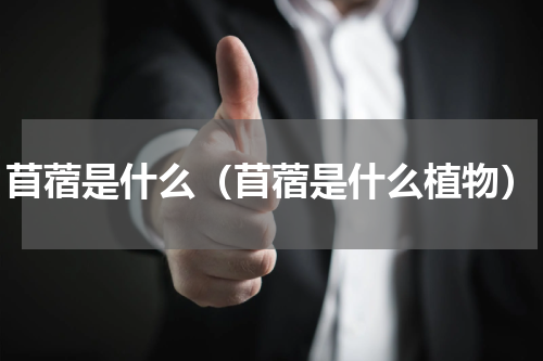 苜蓿是什么（苜蓿是什么植物）