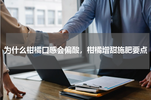 为什么柑橘口感会偏酸，柑橘增甜施肥要点