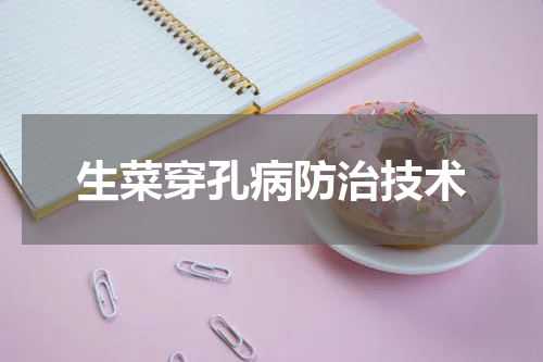生菜穿孔病防治技术