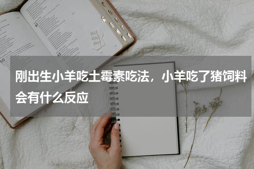 刚出生小羊吃土霉素吃法，小羊吃了猪饲料会有什么反应