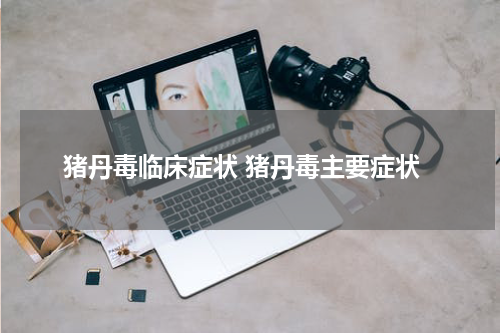 猪丹毒临床症状 猪丹毒主要症状