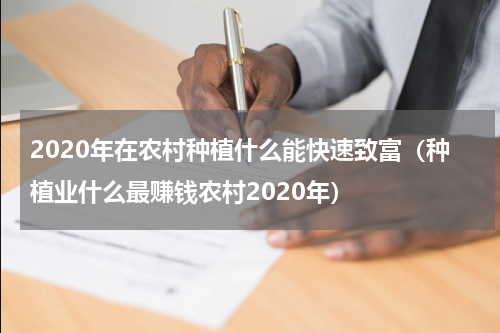 2020年在农村种植什么能快速致富（种植业什么最赚钱农村2020年）