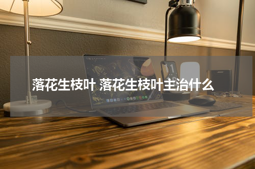 落花生枝叶 落花生枝叶主治什么