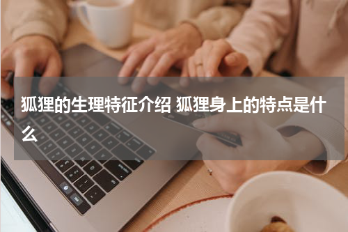 狐狸的生理特征介绍 狐狸身上的特点是什么