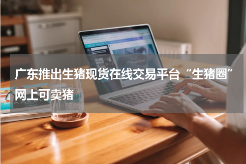 广东推出生猪现货在线交易平台“生猪圈”网上可卖猪