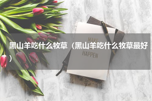 黑山羊吃什么牧草（黑山羊吃什么牧草最好）