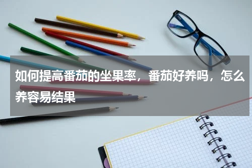 如何提高番茄的坐果率，番茄好养吗，怎么养容易结果