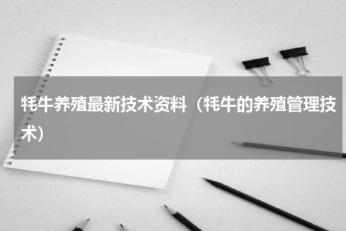 牦牛养殖最新技术资料（牦牛的养殖管理技术）
