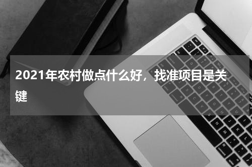 2021年农村做点什么好，找准项目是关键