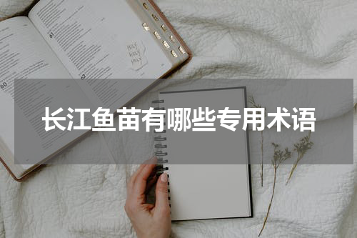 长江鱼苗有哪些专用术语