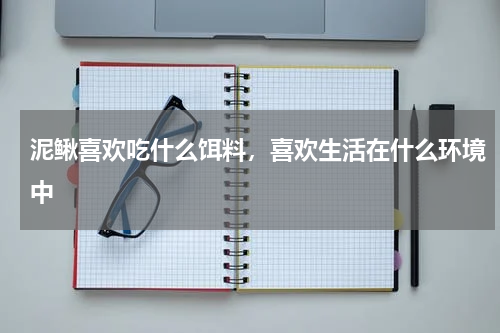 泥鳅喜欢吃什么饵料，喜欢生活在什么环境中