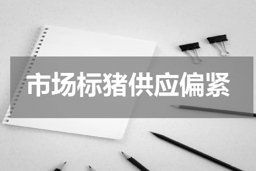 市场标猪供应偏紧