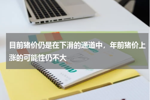 目前猪价仍是在下滑的通道中，年前猪价上涨的可能性仍不大
