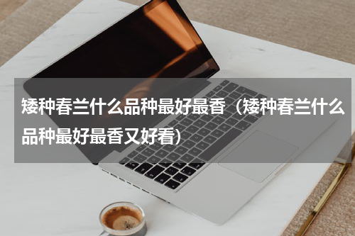 矮种春兰什么品种最好最香（矮种春兰什么品种最好最香又好看）