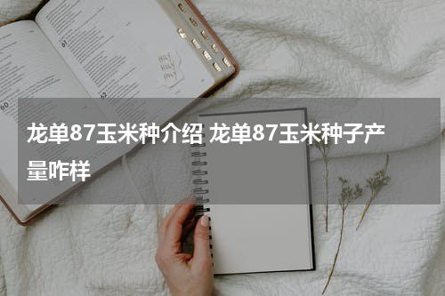 龙单87玉米种介绍 龙单87玉米种子产量咋样