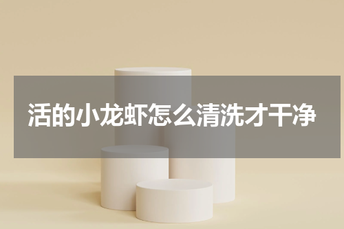 活的小龙虾怎么清洗才干净