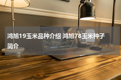 鸿旭19玉米品种介绍 鸿旭78玉米种子简介